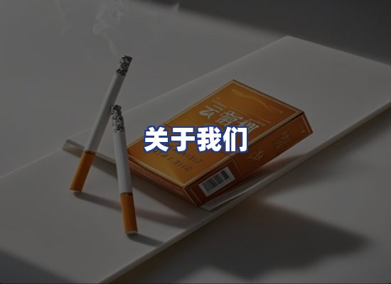 专业团队